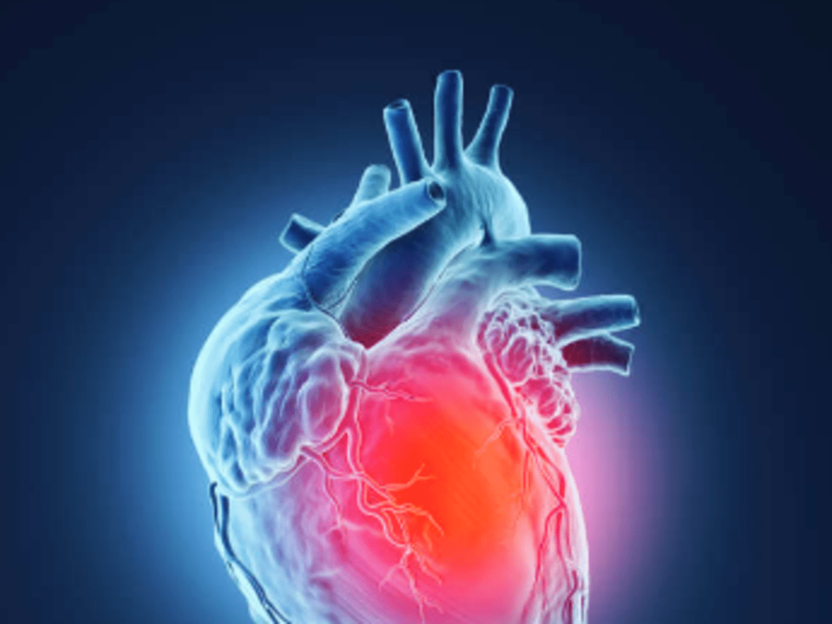 Сердце человека гипертония ПСД