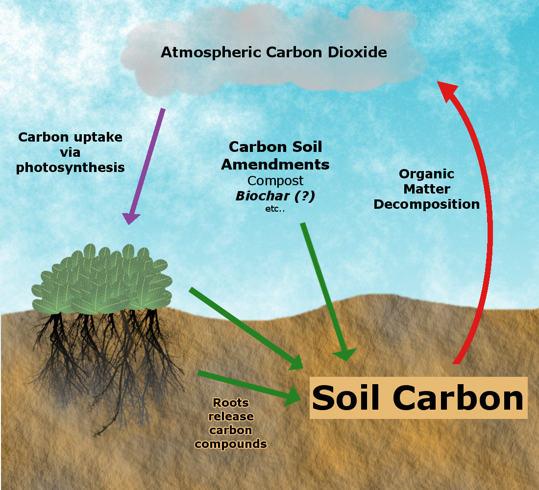 Soil Carbon. Soil Organic Carbon. Углерод в грунте. Углерод в почве.