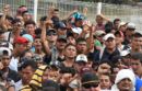 One year on, migrant caravan leaves unexpected legacy