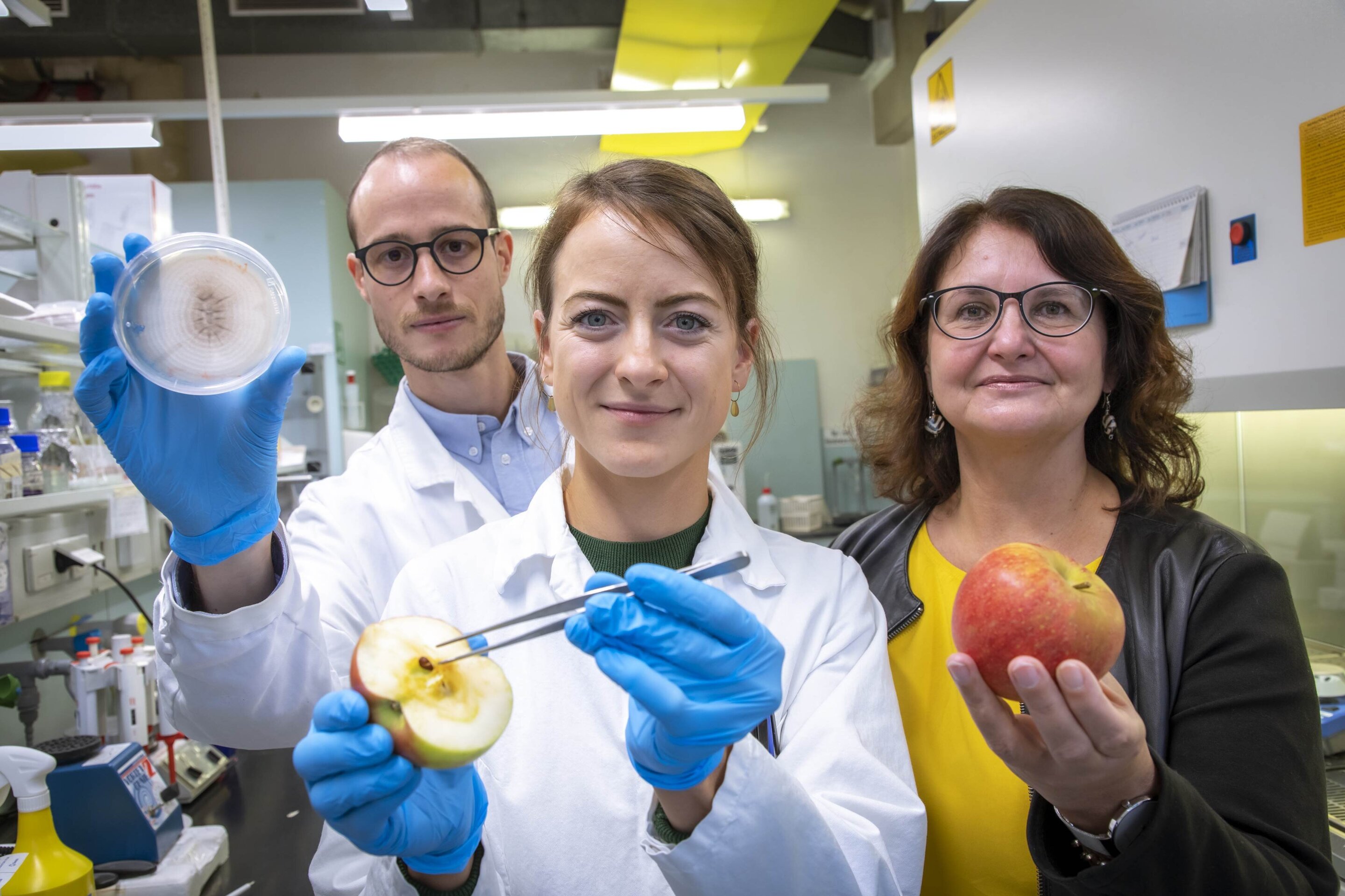 Ученые из Австрии. Сохраняемость фото. Canadian Apples Storage Scientist.