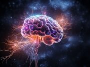 marker for brain inflammation finally decoded