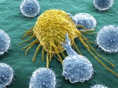 new compound unleashes the immune system on metastases