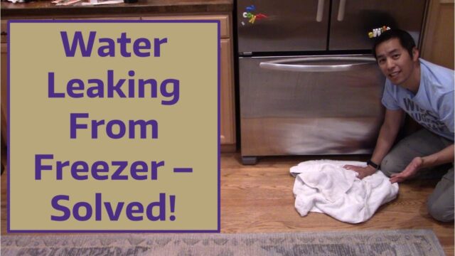 why your refrigerator is leaking water and how to fix it